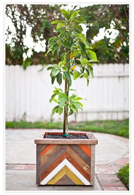 ChevronTreeBox08
