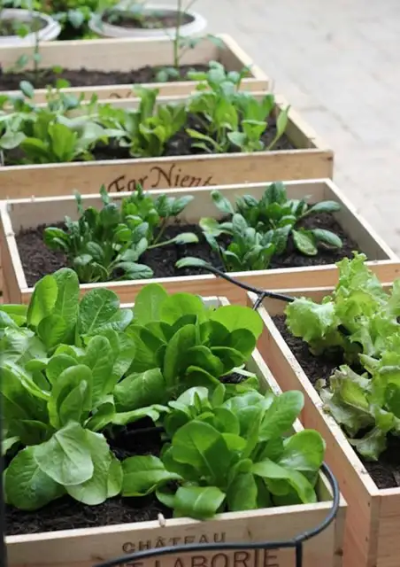700_urban-gardening-raised-beds-7