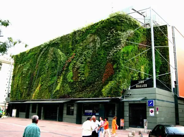 halles_avignon_1