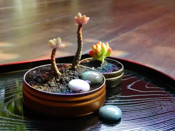 altoids_garden3