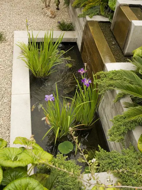 koi-pond-design