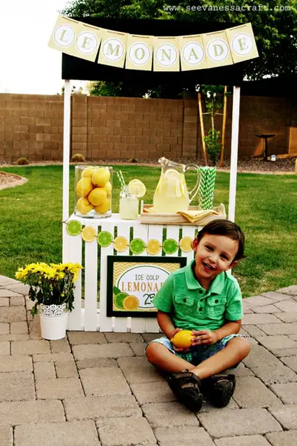 DIY (своими руками)-Lemonade-Stand-3-web-B