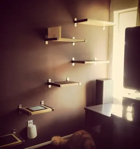 полки для кошек большие 2