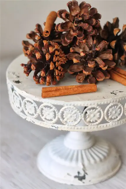 булавки с корицей
