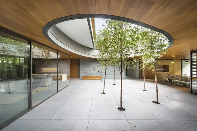 Wall-House-courtyard-trees-in-the-roof