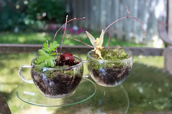 diy-terrarium