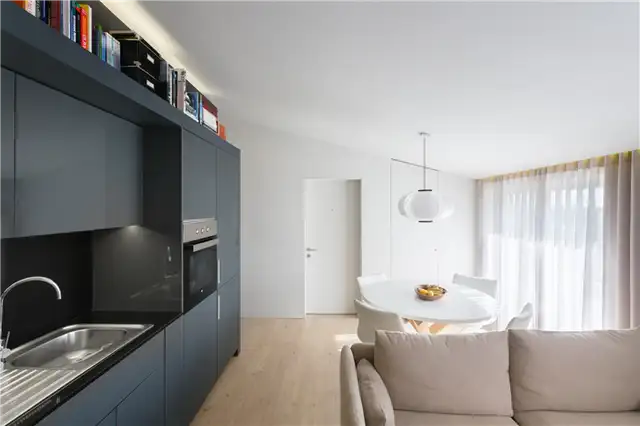 ss apartment kitcss apartment kitchen living and dining in the same roomhen living