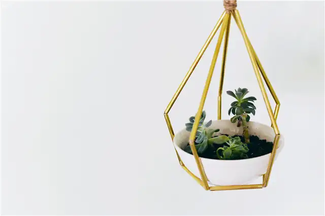DIY (своими руками) Геометрические металлические трубки подвесной плантатор