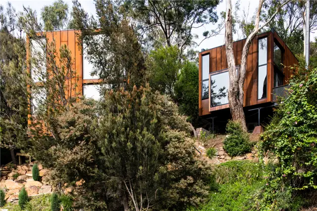 Birdhouse Studios in Austalia - Gillian van der Schans - растительность