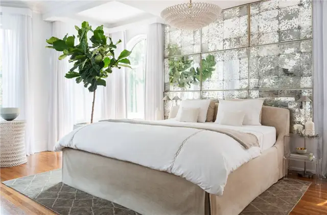 Современная спальня с фиговым растением Fiddle Leaf Fig