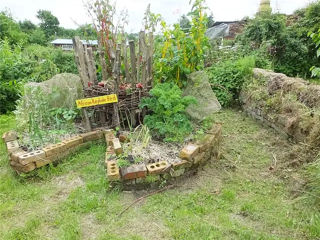 Сад с замочной скважиной в общественном саду St Ann's Community Orchard