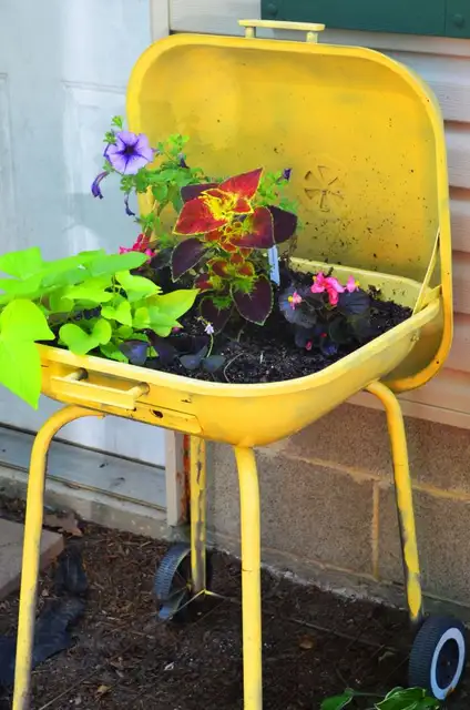 uniqe-plantee
