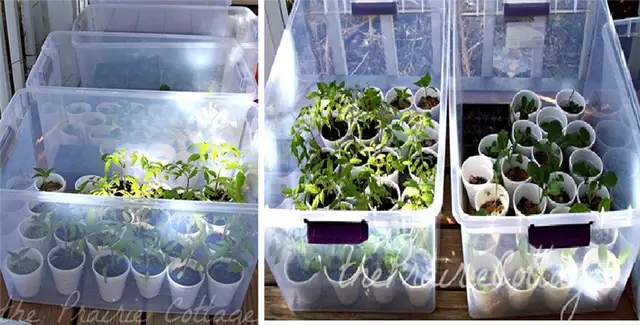 Мини теплицы