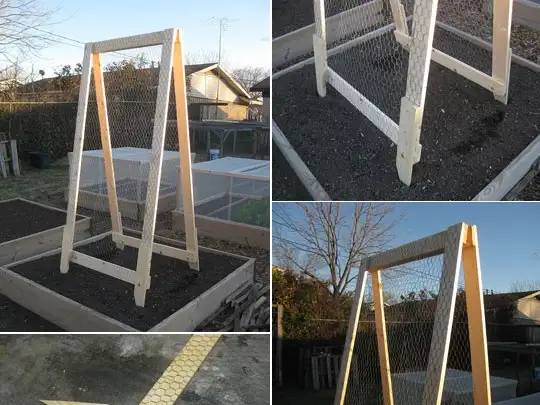 Куриная проволока и дерево для шпалеры