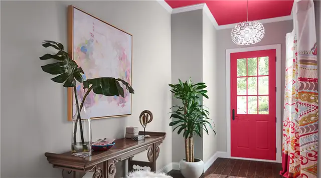 Смелая прихожая Sherwin williams