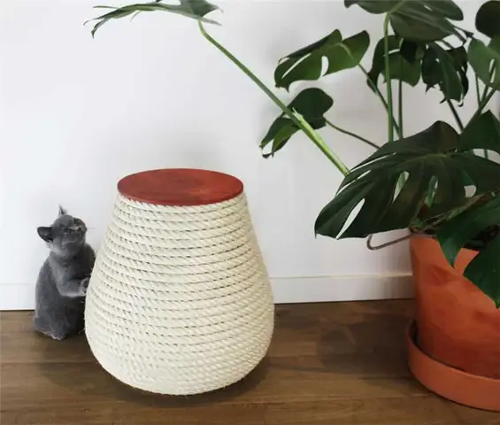 Краб для кошек