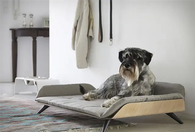 Letto dayBed