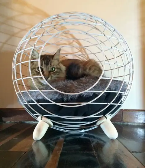 Современная кровать для кошек от Lord Paw