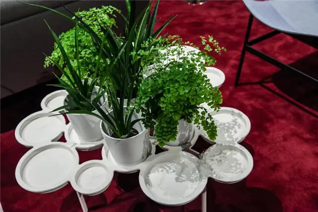 Luca Nichetto Pads Planter