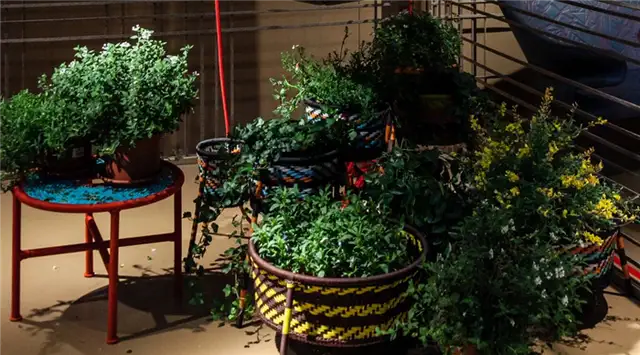 Moroso Плантаторы из плетеных нитей