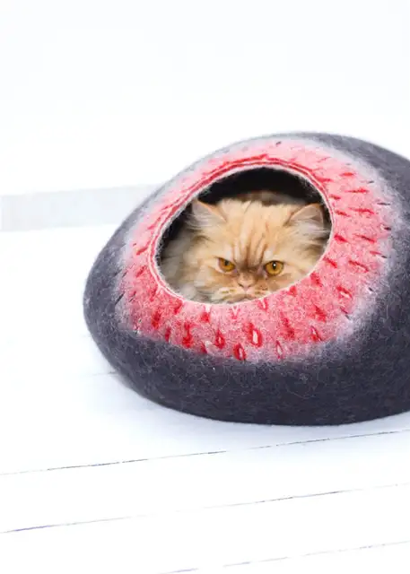 Кровать для кошки из войлока