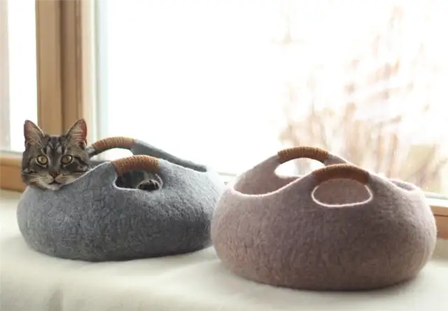 Кошка или домашний питомец