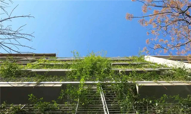 Фасад Марио Сито LEED Seeking Palo Santo Hotel Buenos Aires