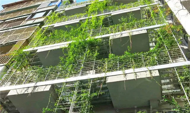 Марио Сито LEED Seeking Palo Santo Hotel Buenos Aires