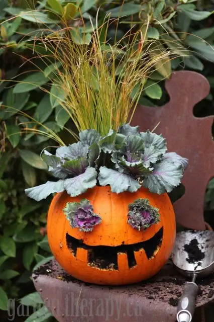 Сажалка Jack o