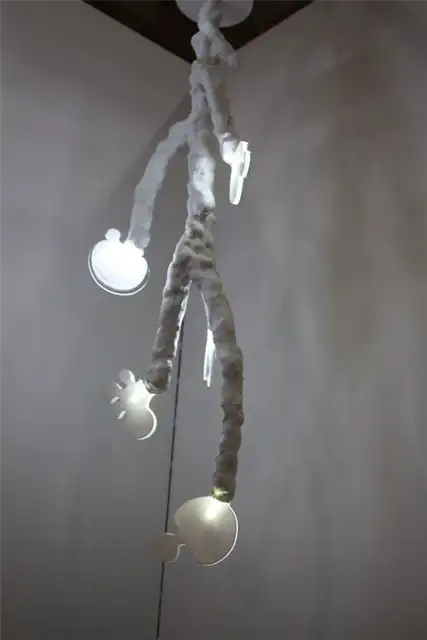 Paul-Sueat-gray-branch-light