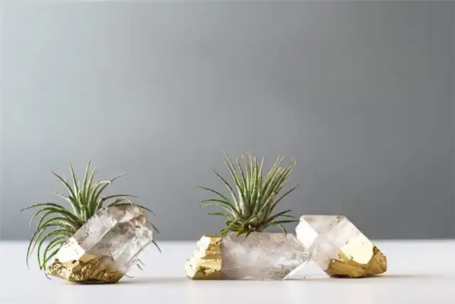 Растения из золота
