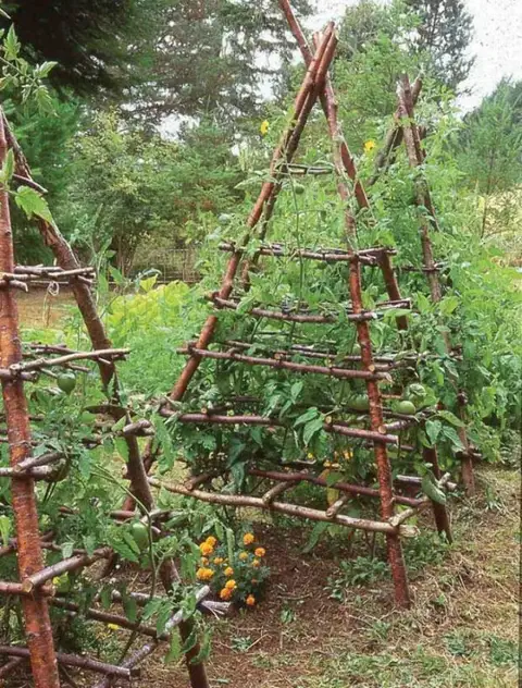 Шпалера для сада из ветвей