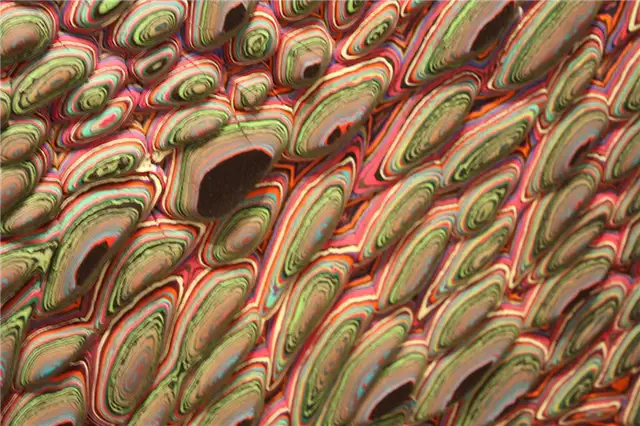 Градации Holton Rower