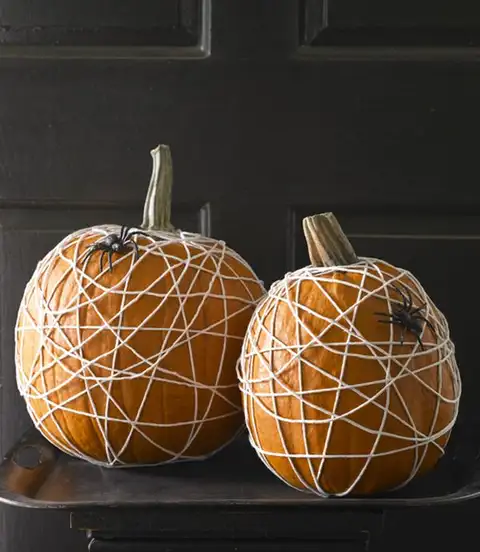 no-carve-creations-tangled