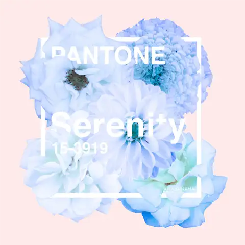 Pantone serenity cover