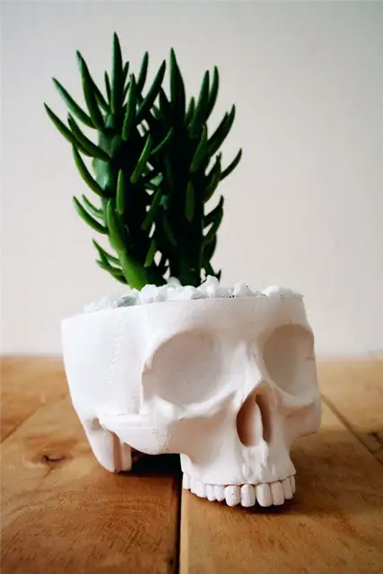 DIY (своими руками) schedel bloempot
