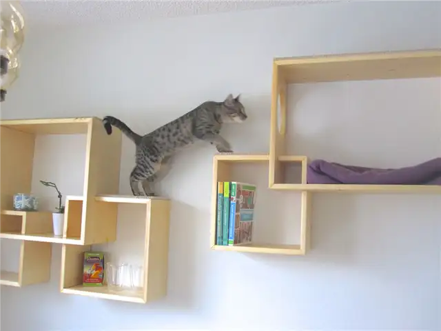 Настенные полки playgorund для кошек