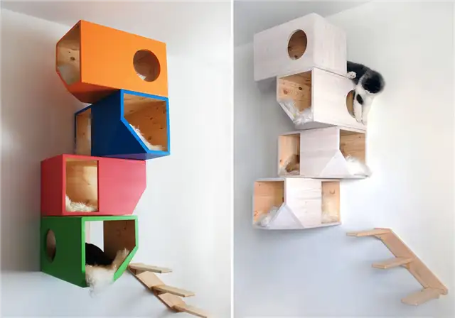 Геометрический дизайн Catissa для кошек