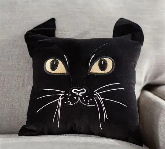 хэллоуинский кот