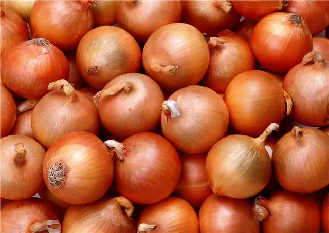 лук