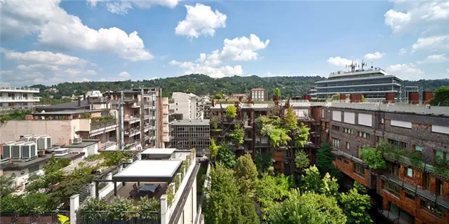 urban-treehouse-city-view