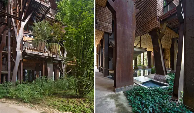 urban-treehouse-vegetation-diversity