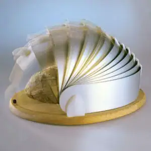 AAAAC0gCVZgAAAAAADngoQ