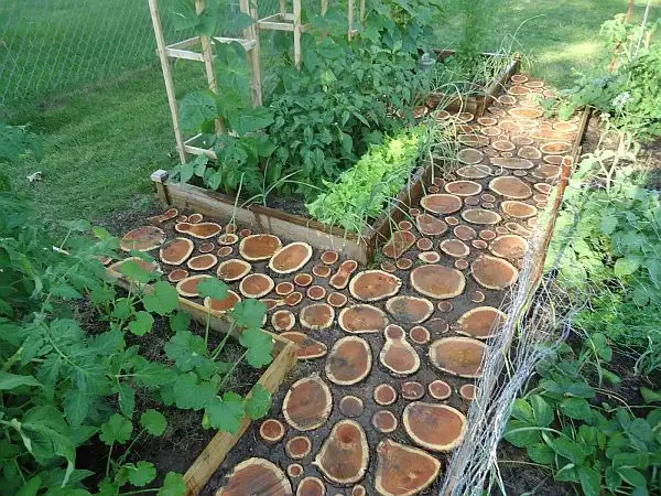 diy-garden-paths-of-wood-slabs