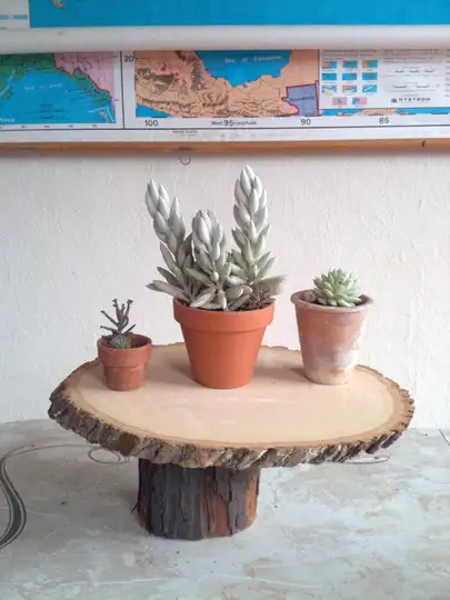 diy-plant-stand-of-lumber-logs