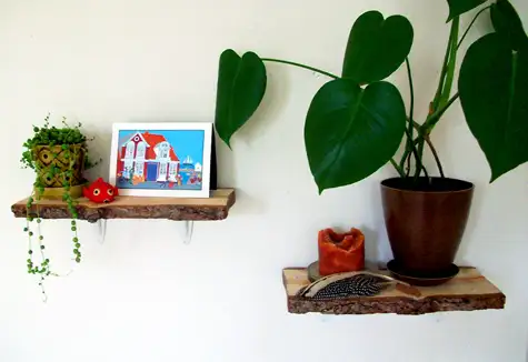rachel_logshelves