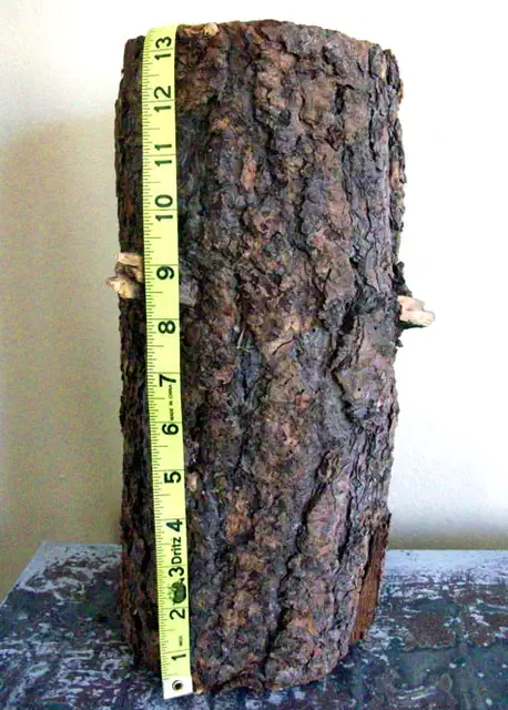 diy-rustic-log-shelves-3