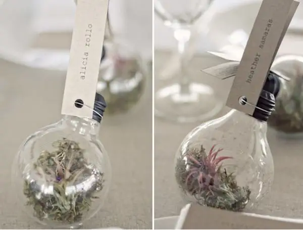 terrarium-e1284224767812