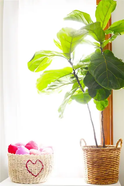 DIY (своими руками) Heart Stitched Basket - Storage