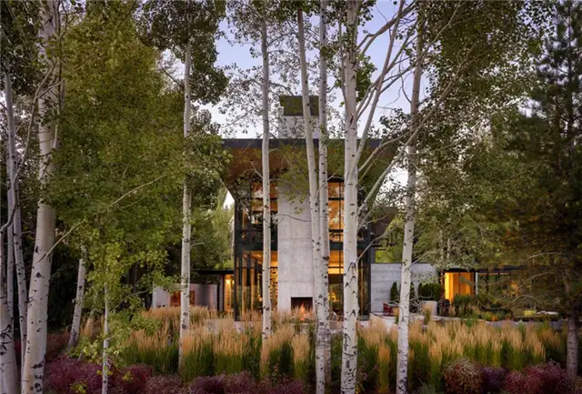 Современный индустриальный дом Stirrup House от Olson Kundig - между деревьями